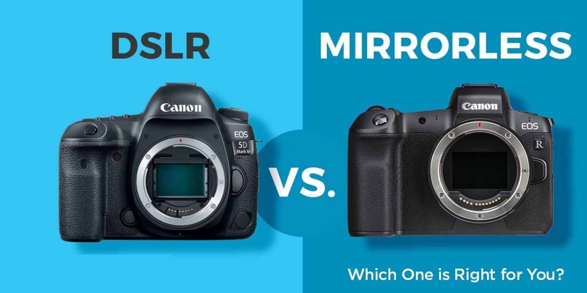 DSLR vs. Mirrorless: A Thorough Guide to Comparing Cameras
