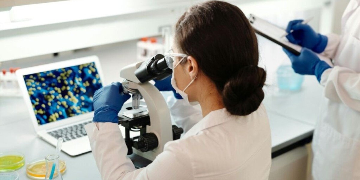 Why Internships Matter in Paramedical Training