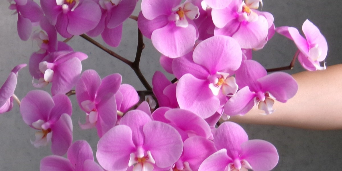 Brighten Your Day with Fresh Blooms from xBLOOMSclub