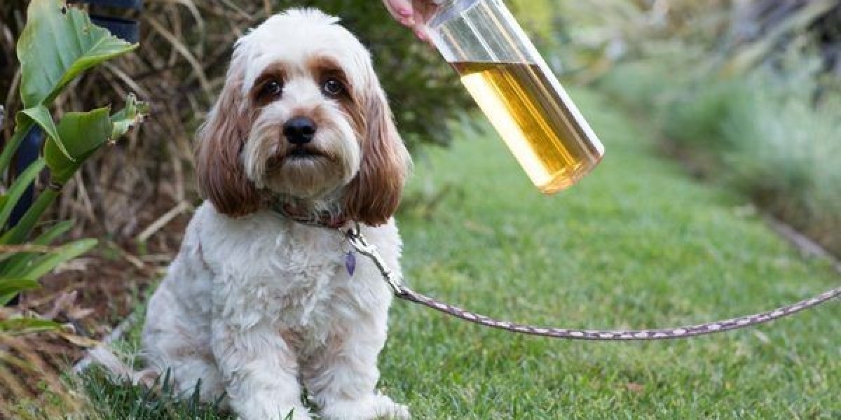 Competitive Landscape of the Tick Repellent Market
