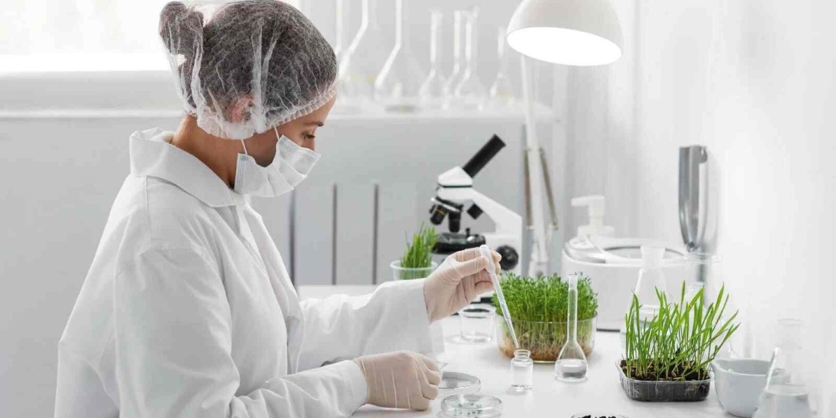 Sustainability in the Pharmaceutical Industry Through Green Chemistry Innovations