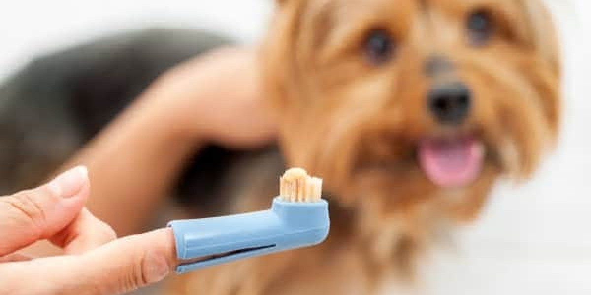 Pet Oral Care Products Market: Growth Opportunities and Challenges