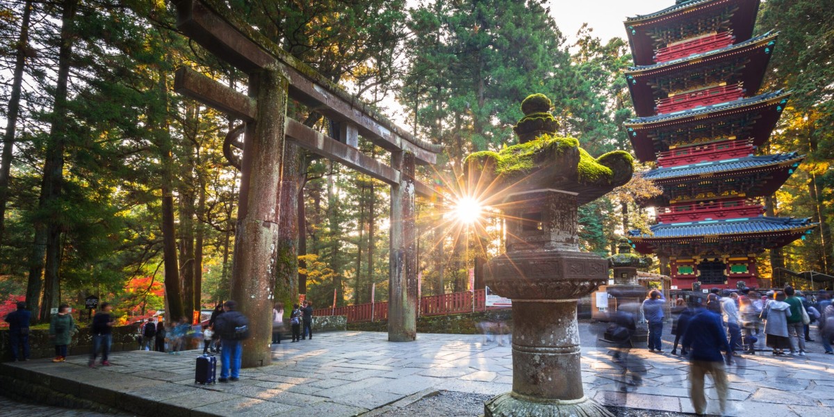Private Mount Fuji & Tokyo Sightseeing Tours with Tokyo Grand Tours
