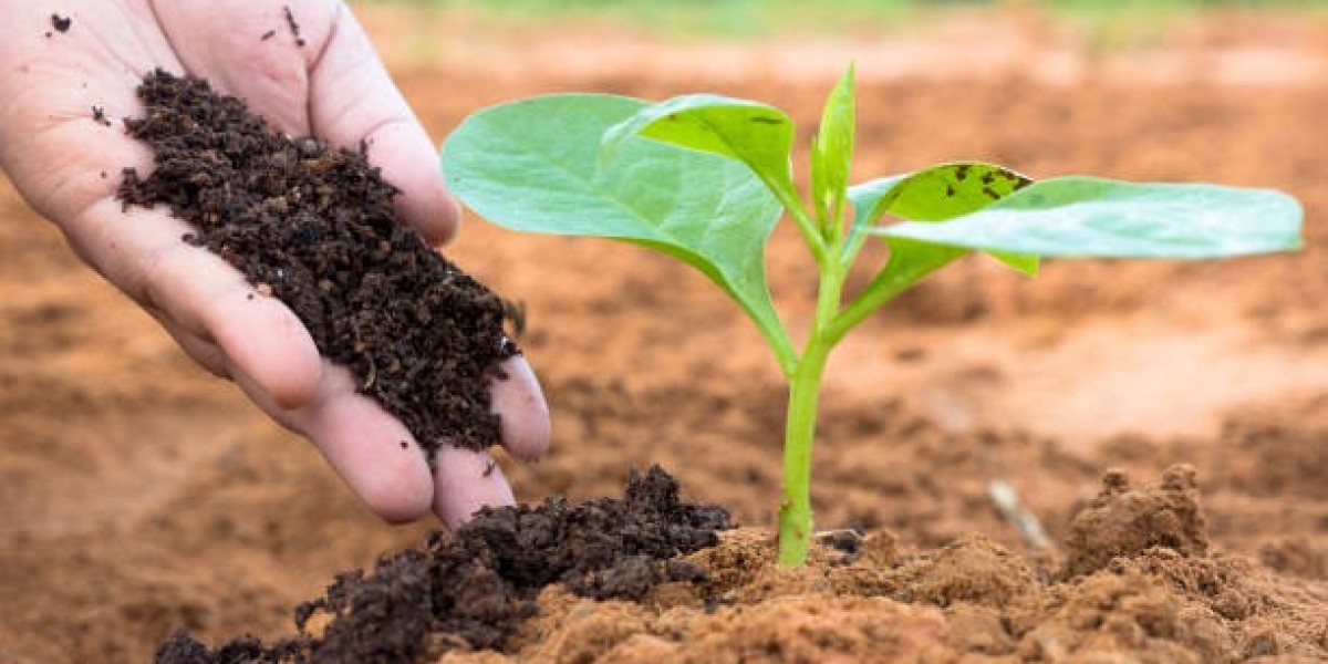 Organic Fertilizer Market Growth: Opportunities, Challenges & Key Innovations