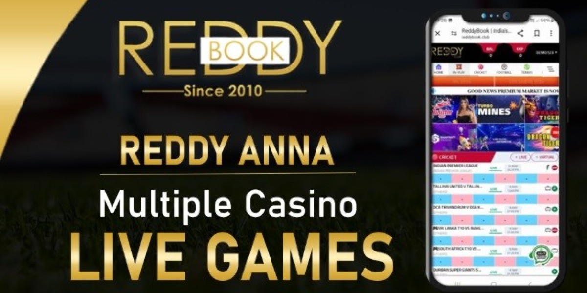 Beyond the Boundary: Your Guide to a Secure Online Cricket Betting Experience