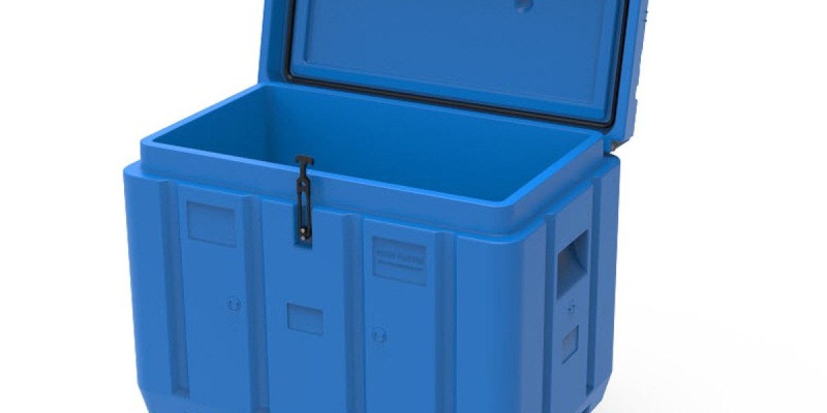 Ice Boxes Market Popularity Surges Due to Demand for Sustainable and Reusable Cold Storage Solutions Across Consumers