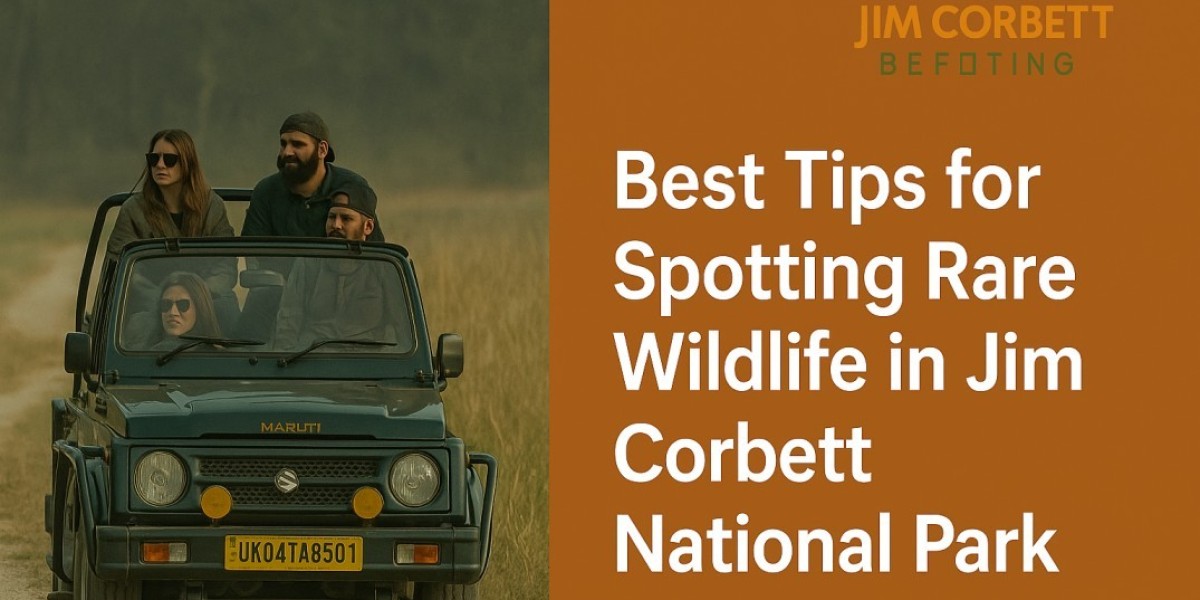 Best Tips for Spotting Rare Wildlife in Jim Corbett National Park