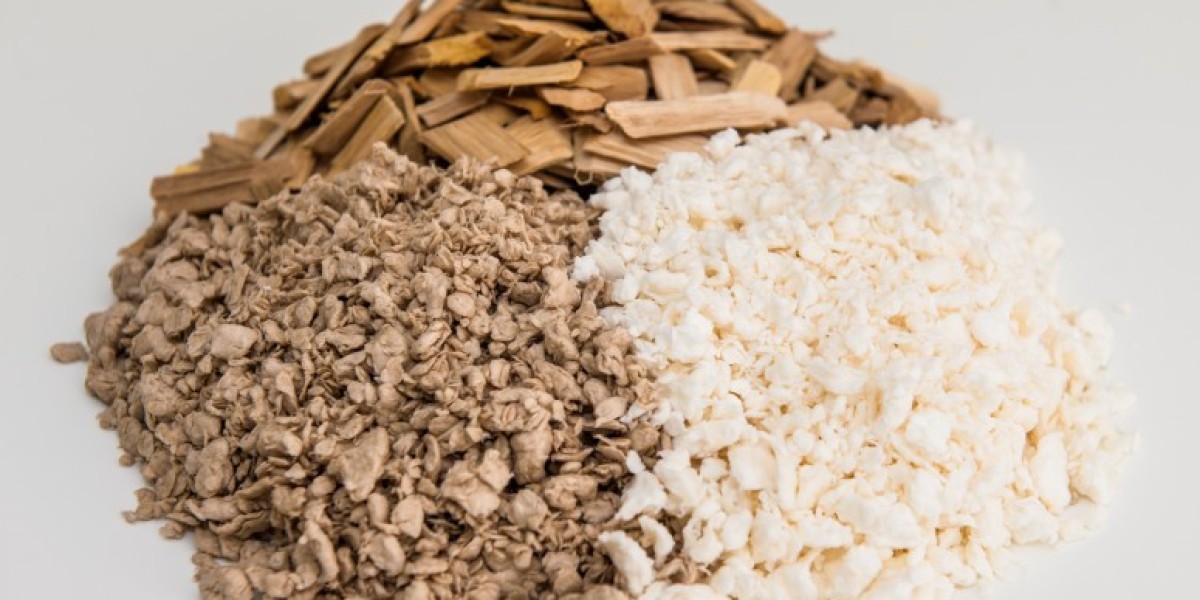 Semi Chemical Wood Pulp Market 2025 Growth, Trends Analysis Report 2035