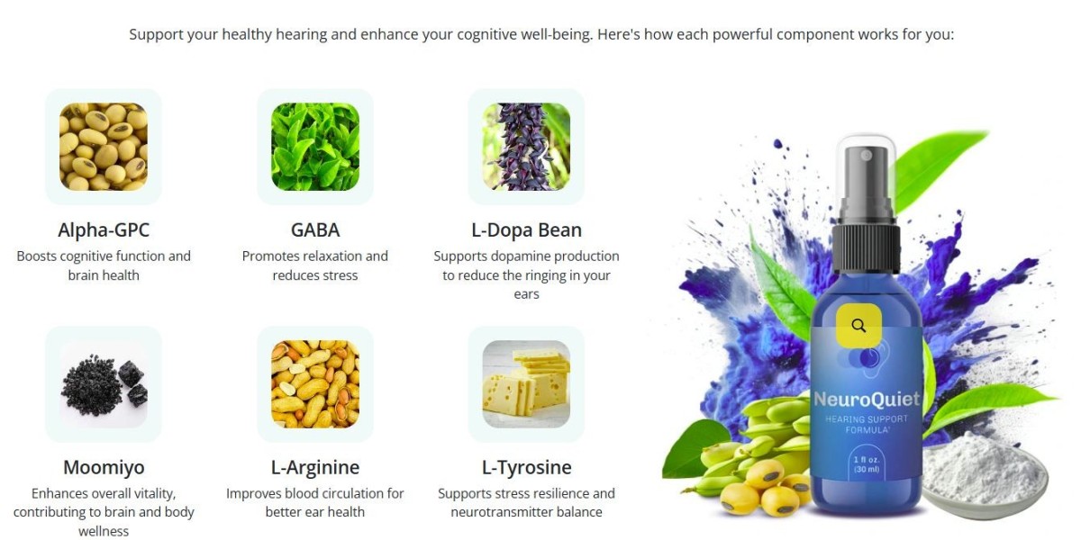 NeuroQuiet : Beware User’s (Price 2025) Is It Really Work Or Not?