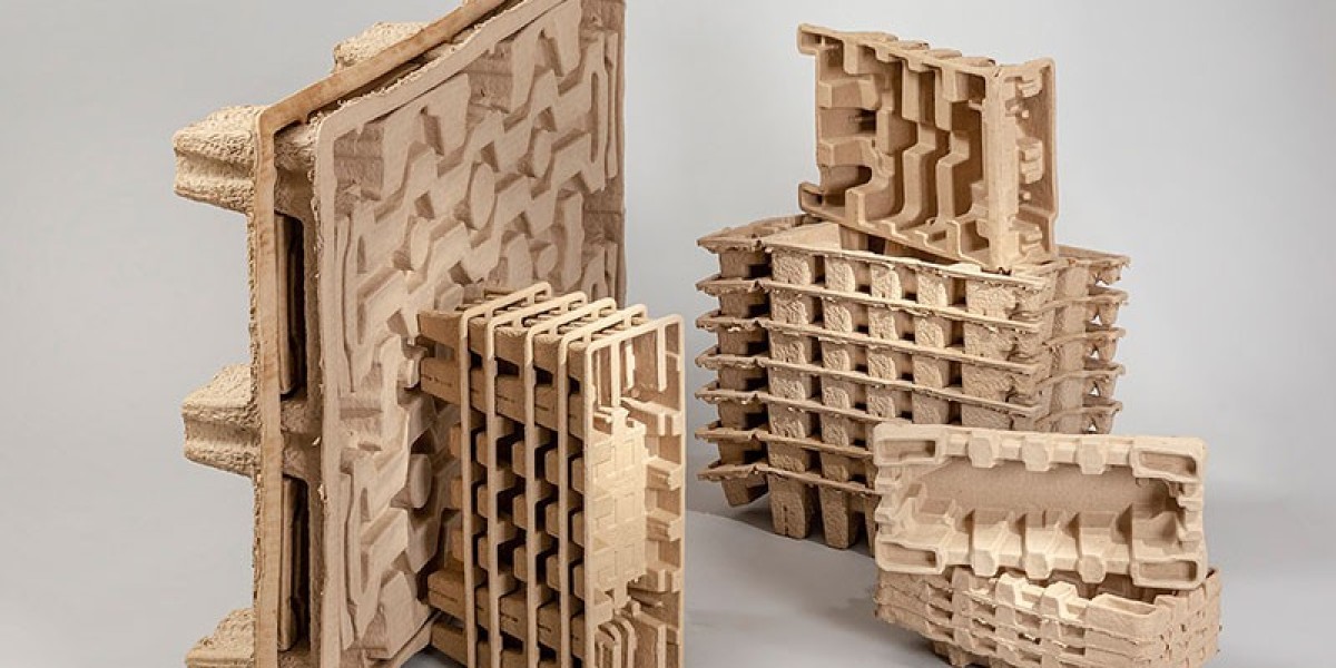 Molded Pulp Packaging: The Sustainable Future of Eco-Friendly Packaging in 2024