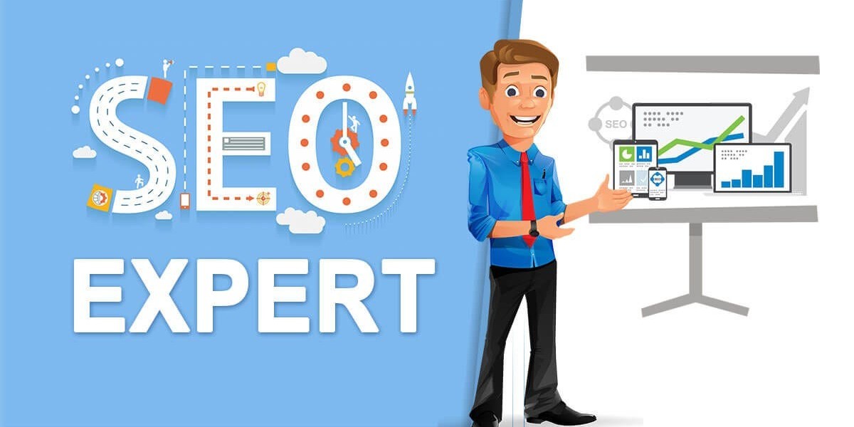 Professional SEO Expert in Abbottabad