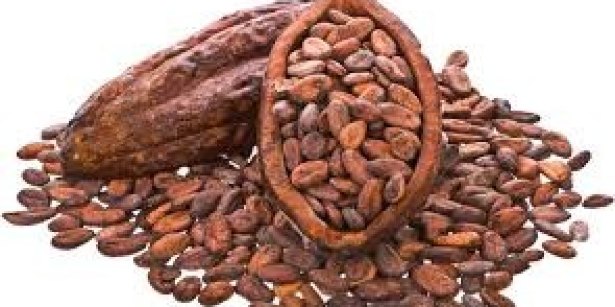 Cocoa Market Research: Evaluating Key Insights, Consumer Trends, and Long-Term Global Growth Opportunities