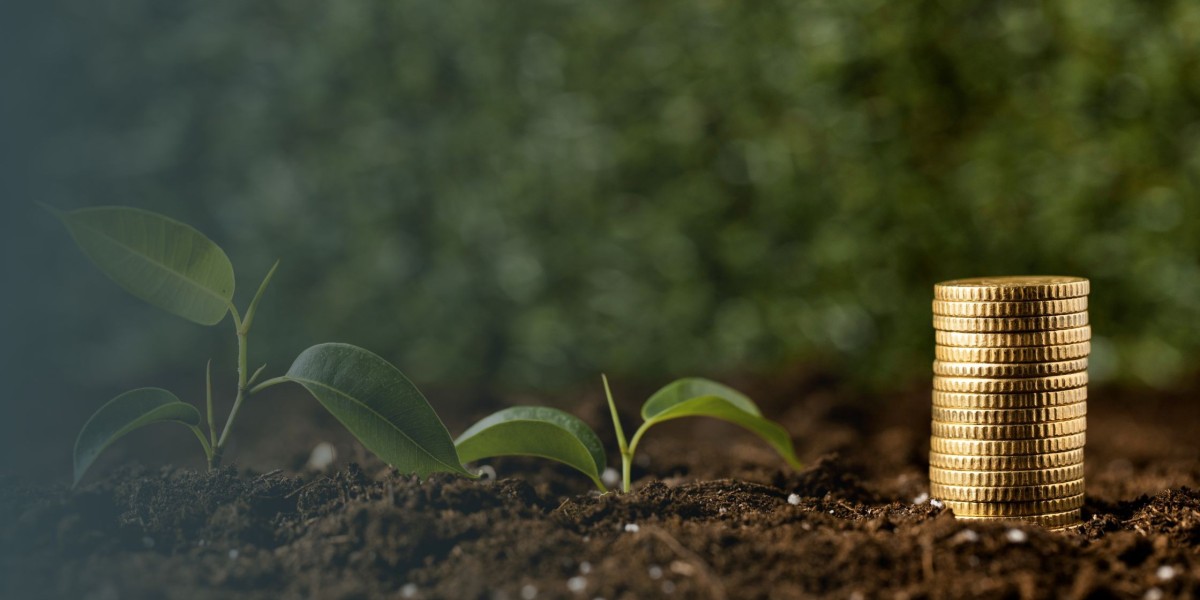 When Does the Best SIP Investment Plan in Jaipur Update NAV?