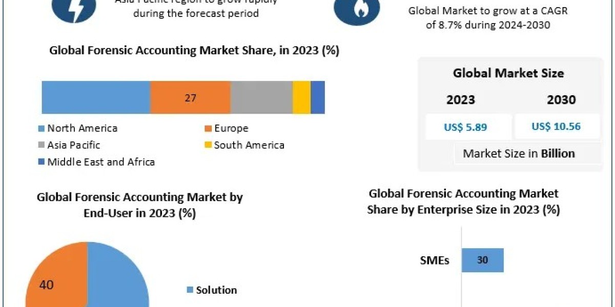 Forensic Accounting Market Size, Segmentation, and Industry Opportunities (2024-2030)