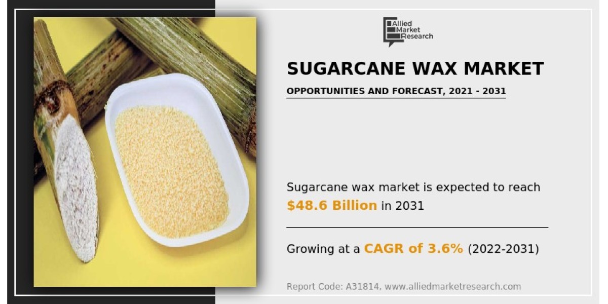 Sugarcane Wax Market Growth and Size, Industry Report 2025 to 2031