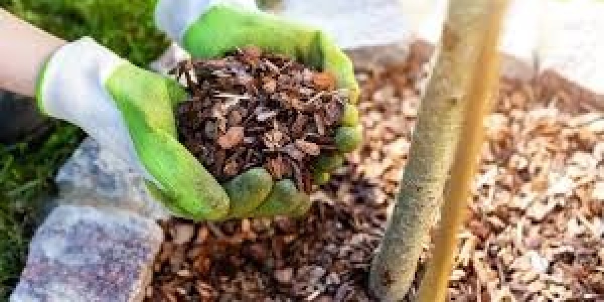 Choosing the Right Soil and Mulch for Your Yard in Sparks, NV