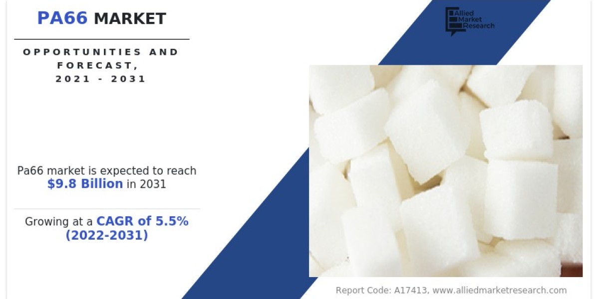 PA66 Market Size, Global Growth and Forecast, 2031