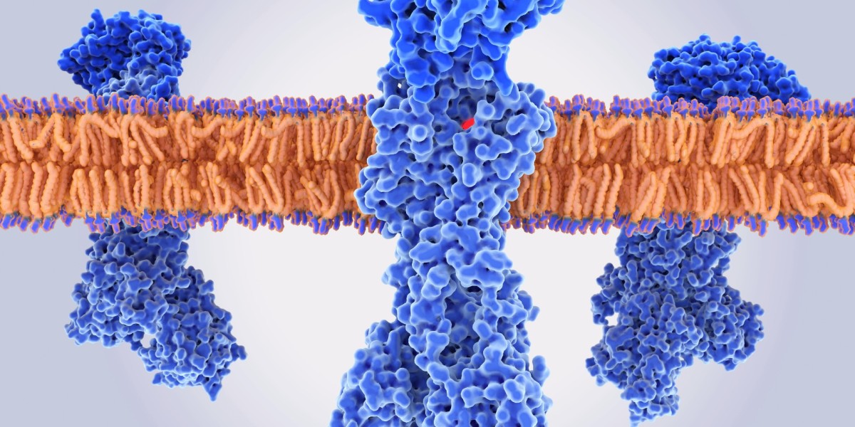 TROP-2 Inhibitors: Pioneering Targeted Cancer Therapies