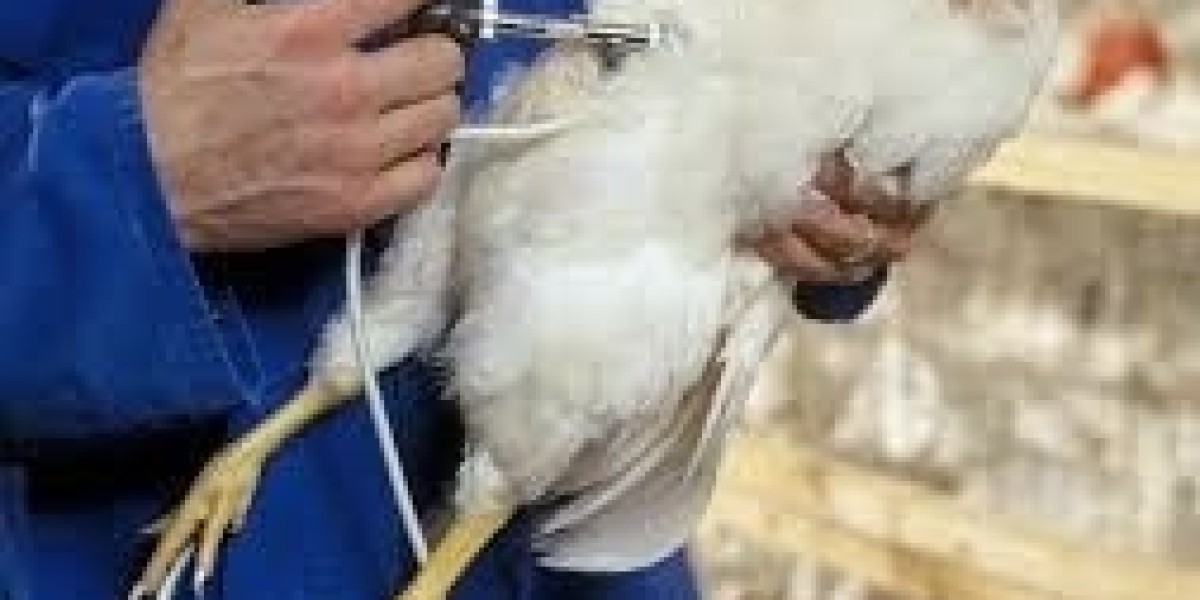 South Korea Poultry Vaccines Market Poised for Growth through 2035: Size, Trends & Key Drivers