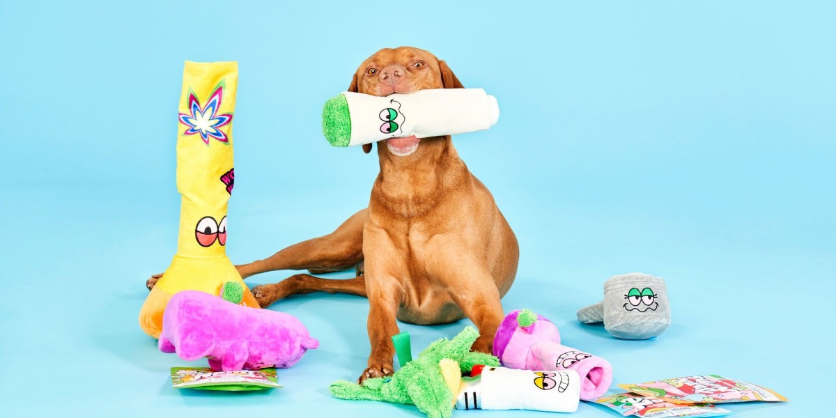 10 Reasons Why Dogs Love BarkBox