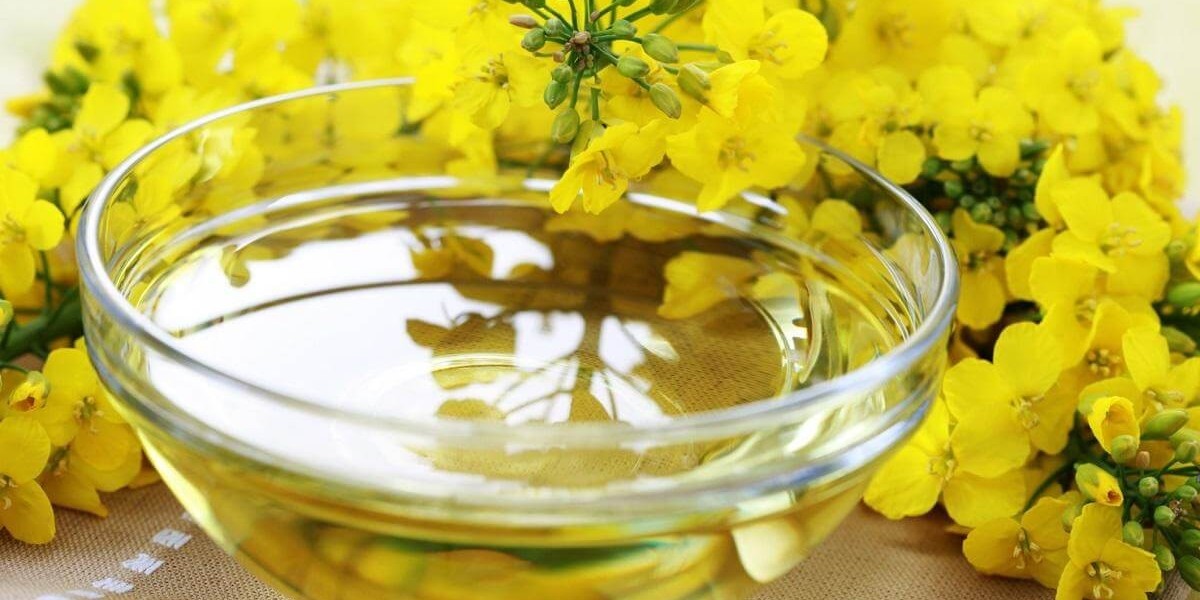 Rapeseed Oil Market Forecast Anticipating Growth, Regional Demand, and Sustainability Trends Worldwide