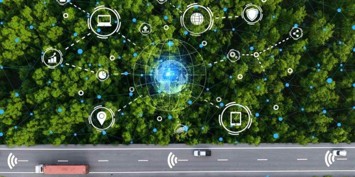 Innovation in Sustainable Aviation and Green Transport in the Climate Era