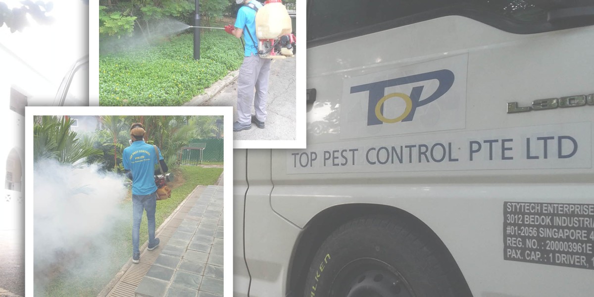 Reliable Pest Control Services Singapore