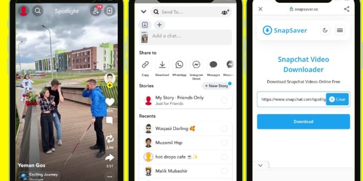 Best Snapchat Video Downloader to Download Private & Public Stories