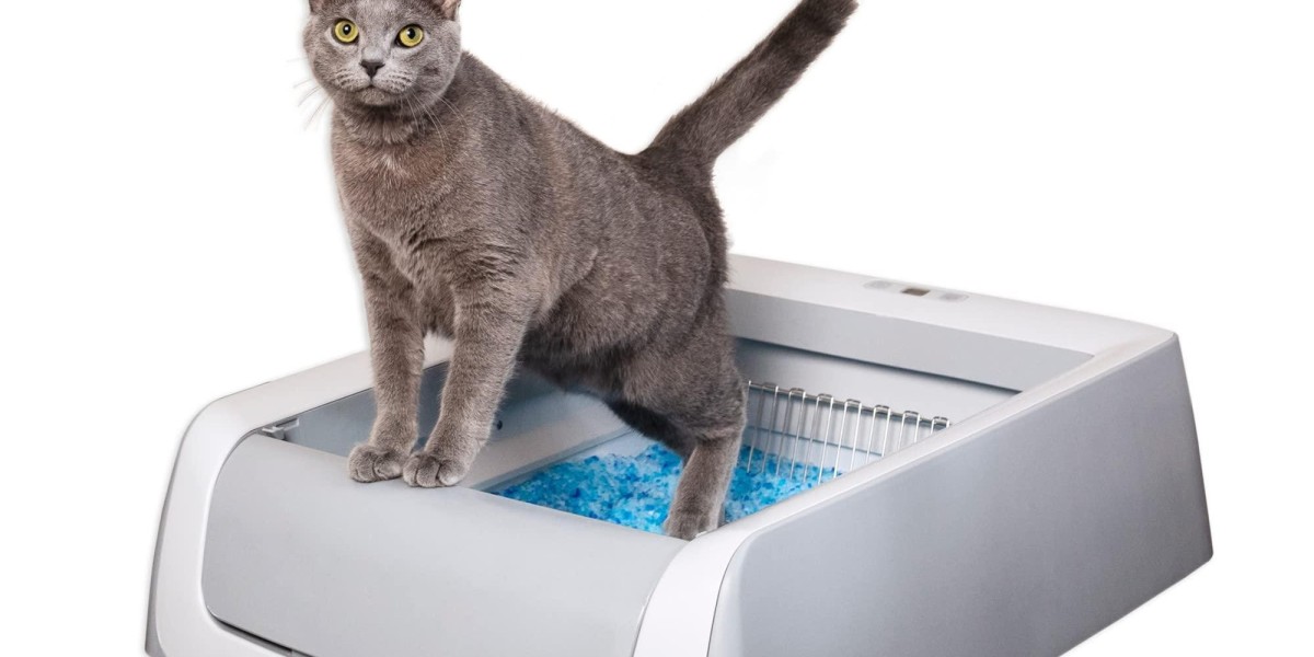Pawtechpet's Cat Litter Box Automatic Cleaning: Redefining Feline Hygiene