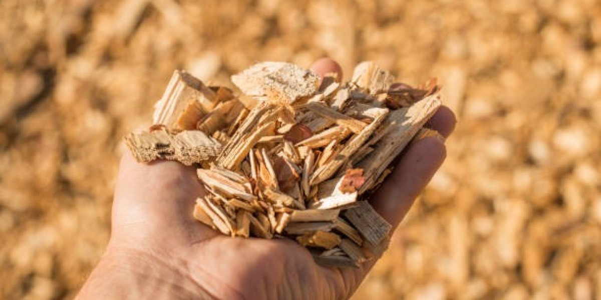 Future Directions for Wood Chips Market: Technology and Product Development