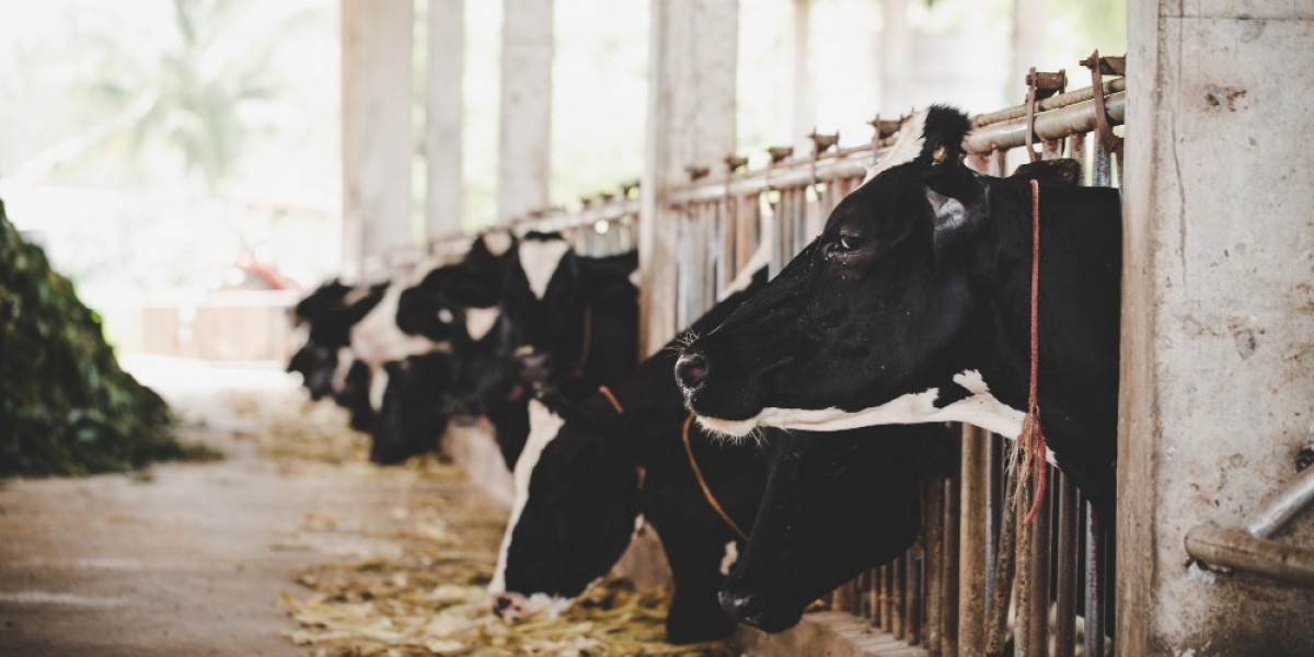 Organic Farming and Its Role in India’s Dairy Industry