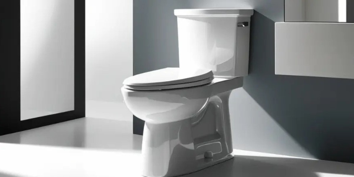 Glacier Bay Toilet Troubleshooting & Maintenance Guide