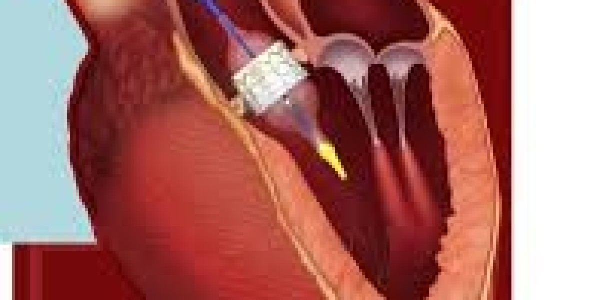 Heart Valve Devices Market segmentation based on product types, materials, and clinical applications