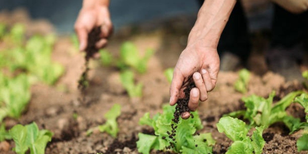 Organic Fertilizer Market Growth: Opportunities, Challenges & Key Innovations