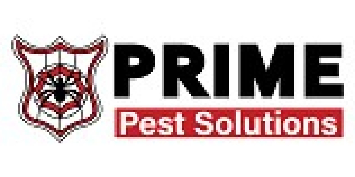 Reliable Cockroach Control Melbourne – Prime Pest Solutions
