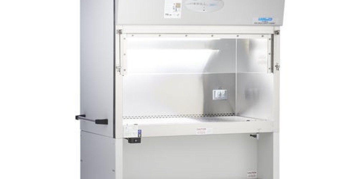 Global Biological Safety Cabinet Industry Report: Growth, Insights & Opportunities