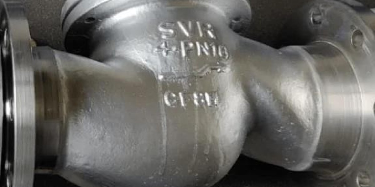 Lift Check Valve Manufacturer in India