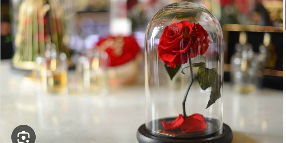 A Rose in a Glass: A Timeless Symbol of Love