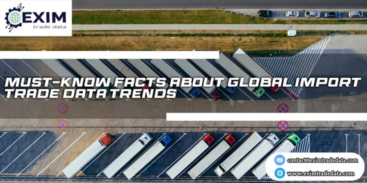 Must-Know Facts About Global Import Trade Data Trends