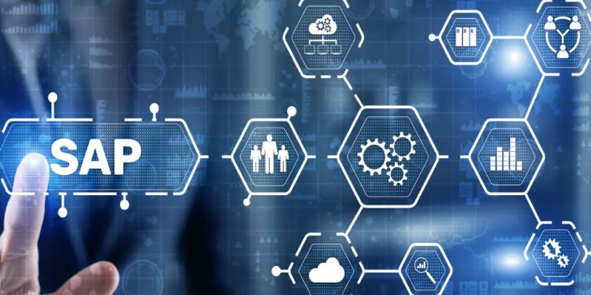 From Traditional Practices to Digital Solutions: The Impact of SAP Course