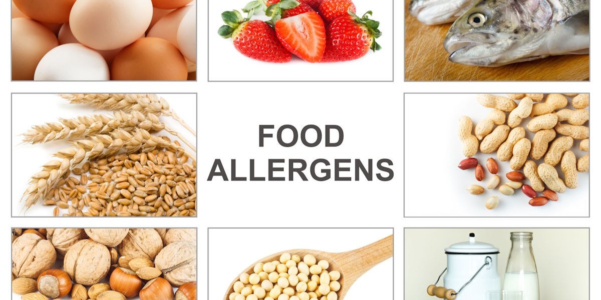 Rising Demand for Food Safety: Food Allergen Testing Market Outlook