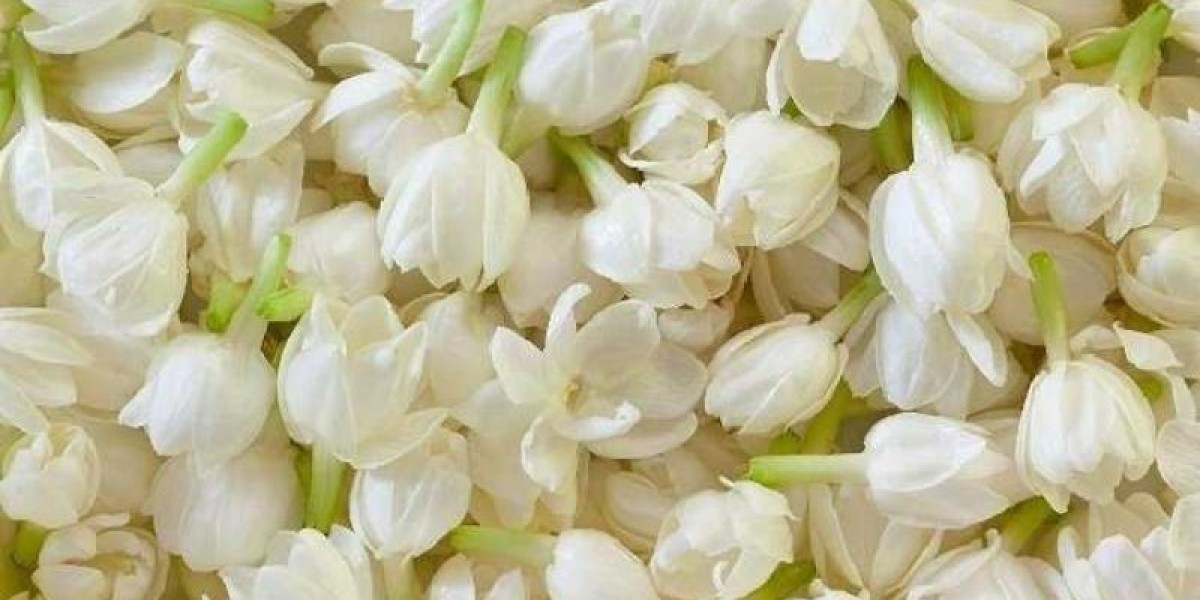 Nhận Kết Quả Xổ Số Ba Miền Ở Đâu Uy Tín?