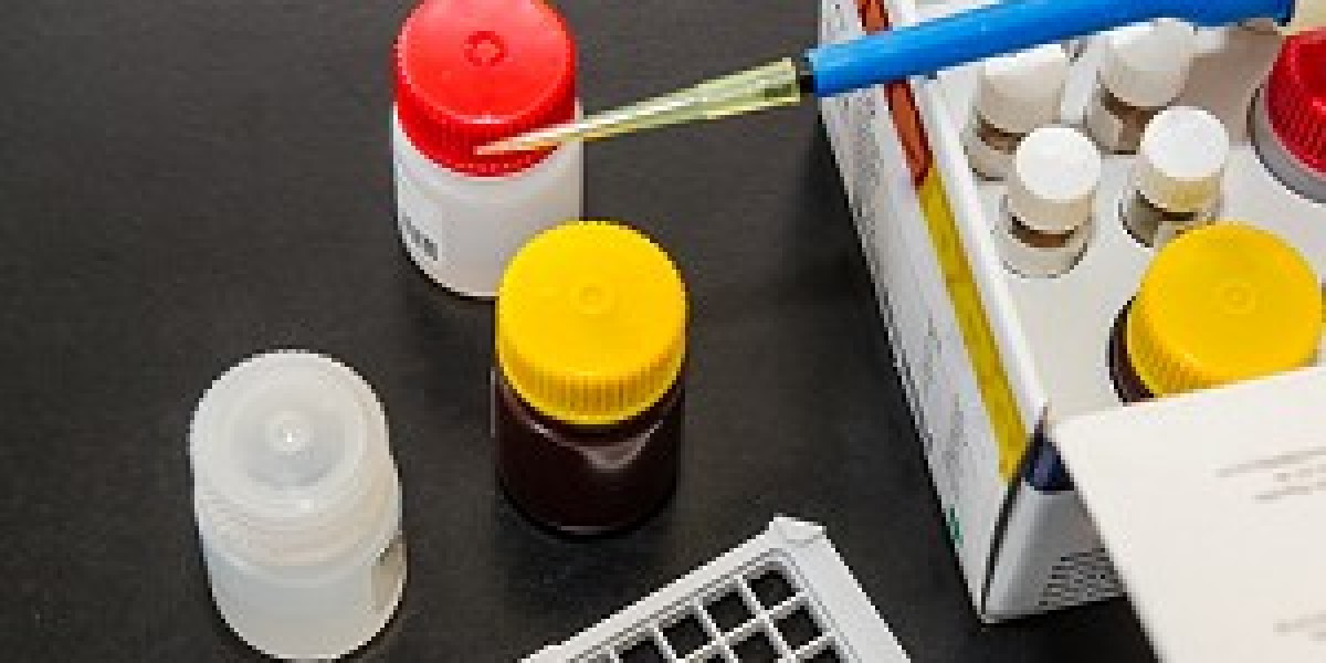 Reliable Porcine Protein ELISA Kits for Accurate Research Results