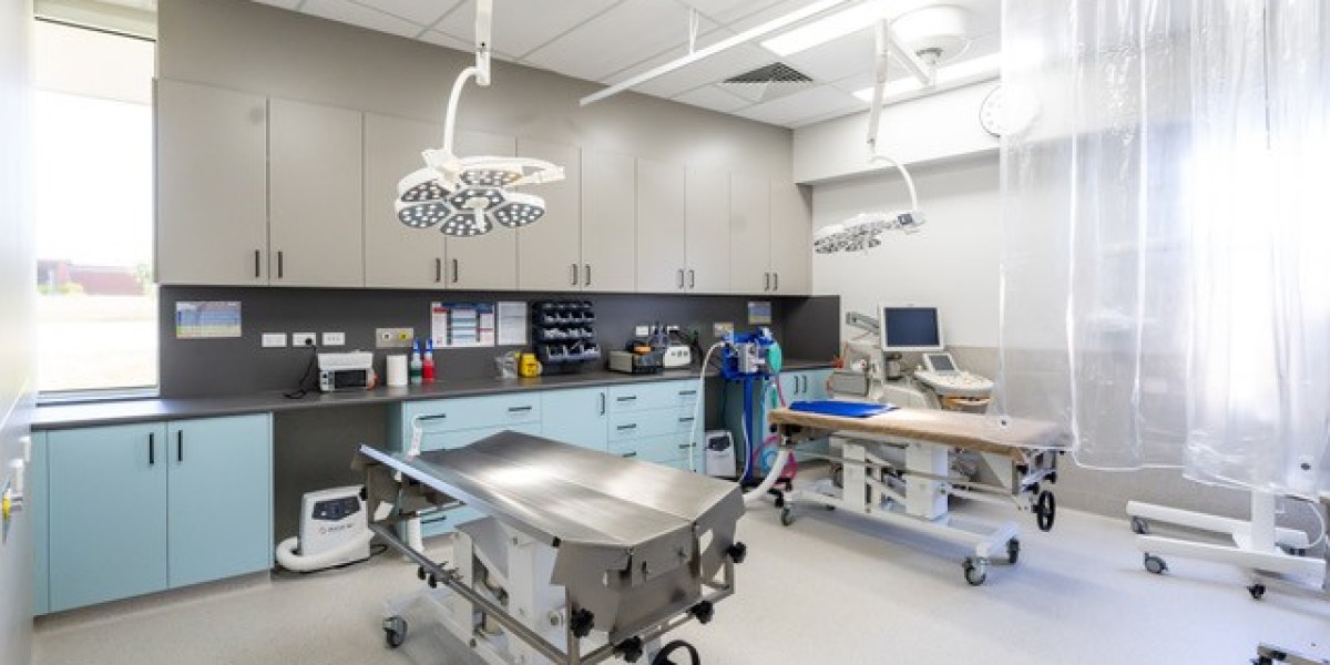 Professional Vet Fitouts – Transform Your Veterinary Clinic with Experts