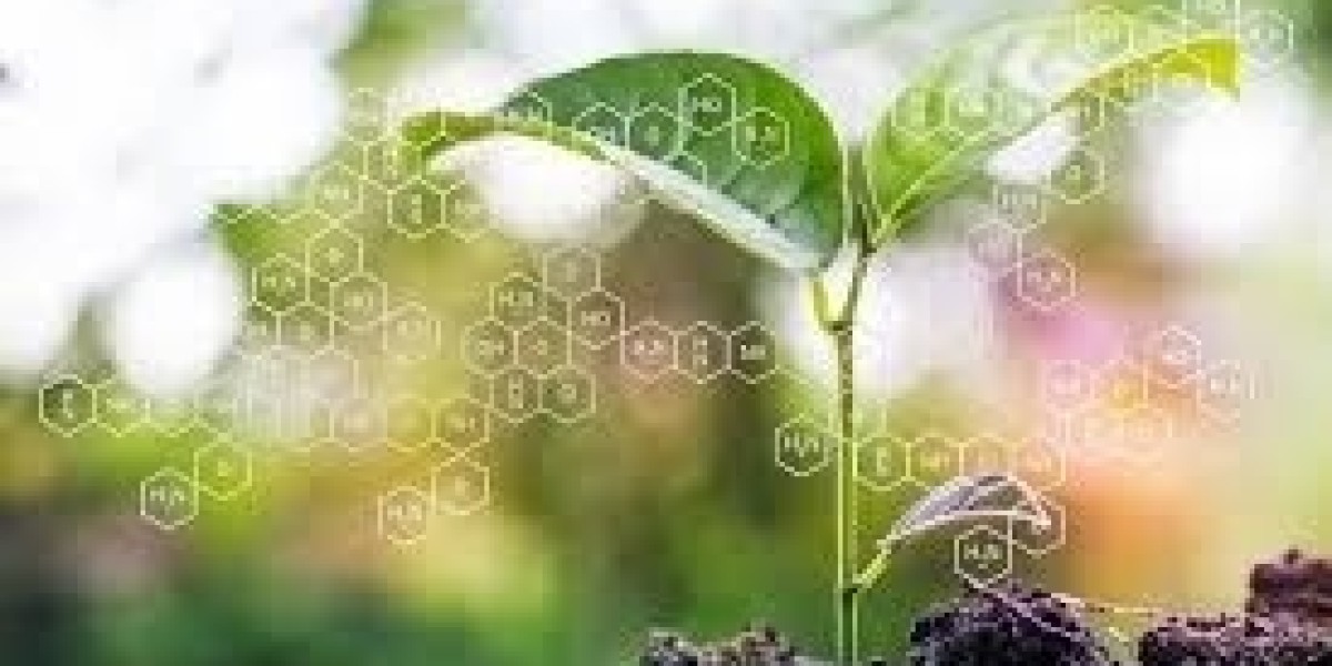 Global Secondary Macronutrients Market Outlook 2023–2033: Size, Share & Growth Trends