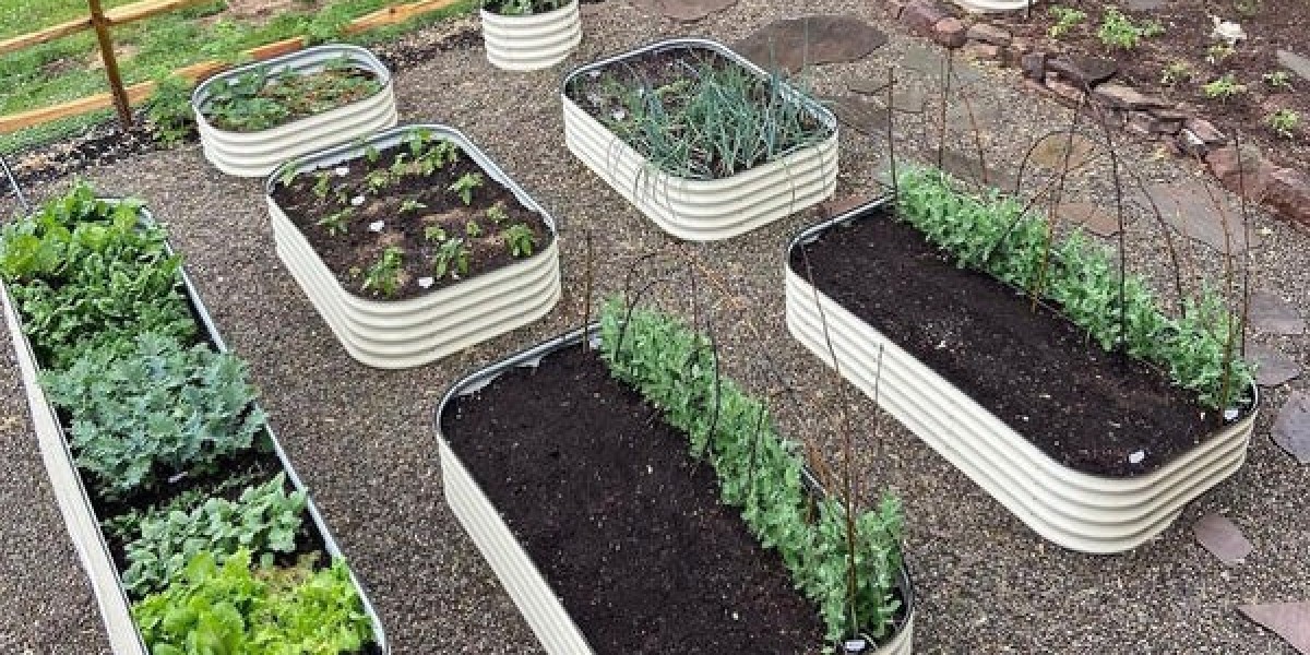 Large Greenhouse