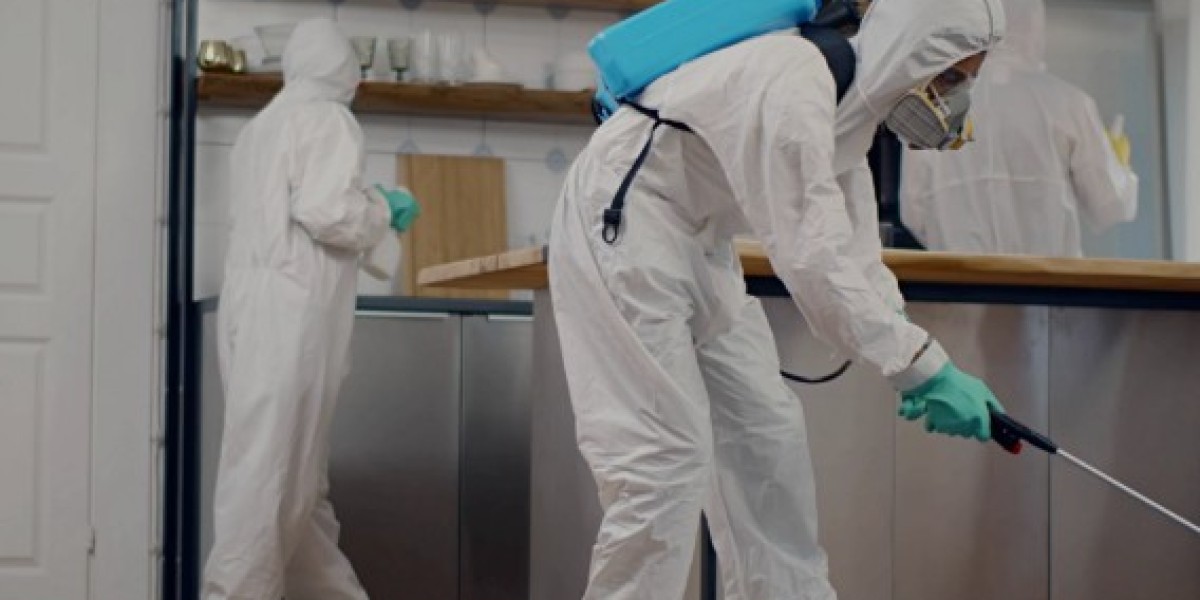 Choosing the Best Pest Control Companies in Las Vegas