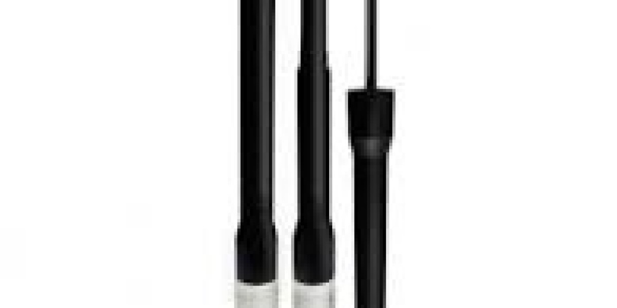 Eyeliner Market Insights Focusing on Competitive Landscape Strategies and Product Innovation Developments