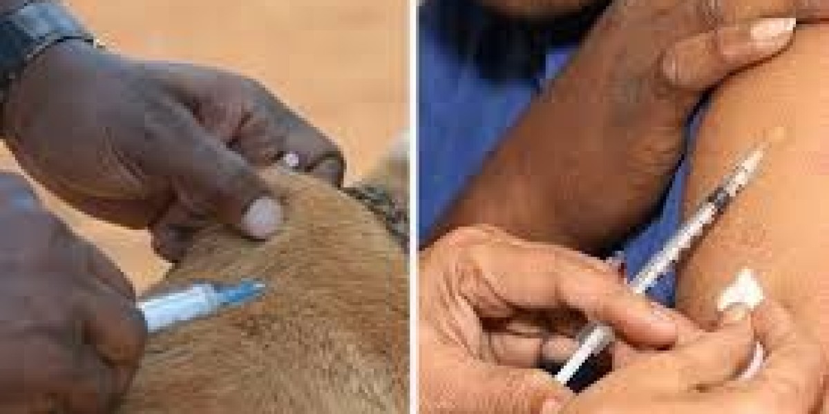 Human Rabies Vaccines Market competitive landscape featuring key manufacturers and product development trends