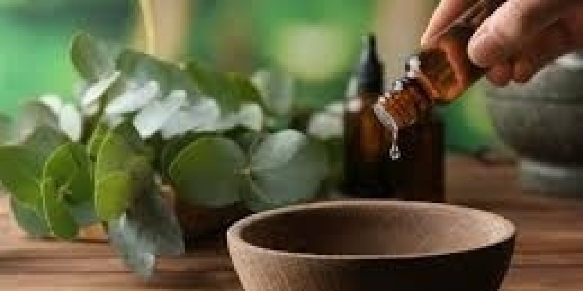 Global Eucalyptus Oil Market Outlook (2023–2033): Size, Share & Future Trends